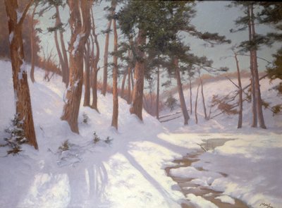 Winterwald mit einem Bach von James MacLaren